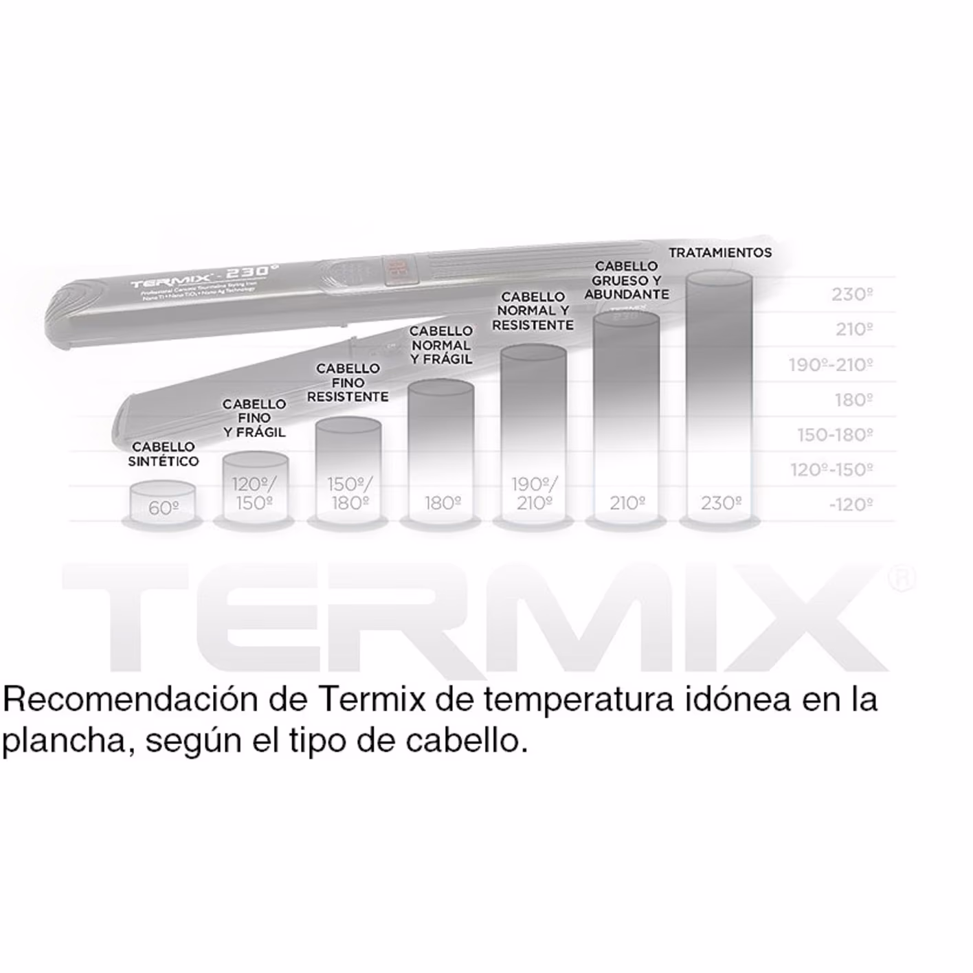 thumbnail-1-TERMIX Plancha Alisados 230º T98