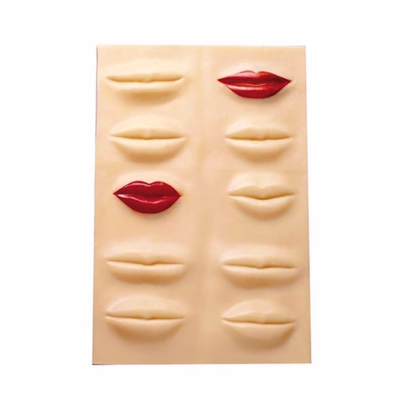 BIFULL Labios Prácticas 40059